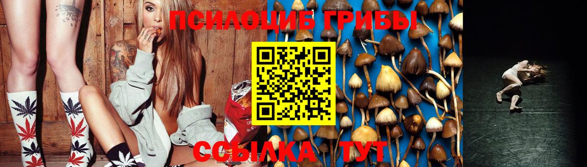 Галлюциногенные грибы Psilocybine cubensis Урай